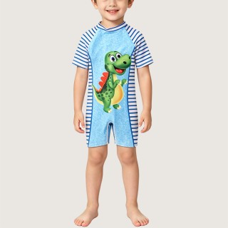 Striped Color-block Dinosaur One-Piece Swimsuit