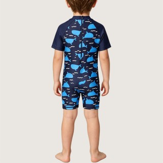 Boys' Color-Block One-Piece Swimsuit with Whale Print