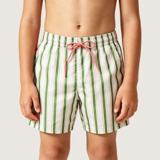 Fresh and Vibrant Striped Beach Swim Trunks