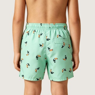 Cute & Playful Toucan Print Beach Swim Trunks