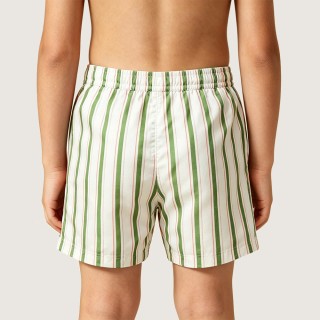 Fresh and Vibrant Striped Beach Swim Trunks