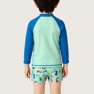Stegosaurus & Surfboard Print Raglan Swimsuit